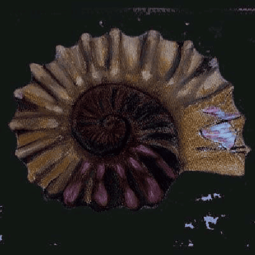 鯰屋プロフィール写真